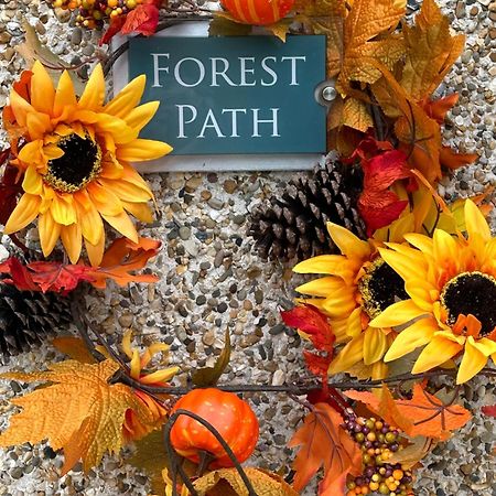 Forest Path Luxury Studio Apartment With Large Bedroom Bathroom And Sauna Sleeps Up To 4 Ballynahinch Exterior foto