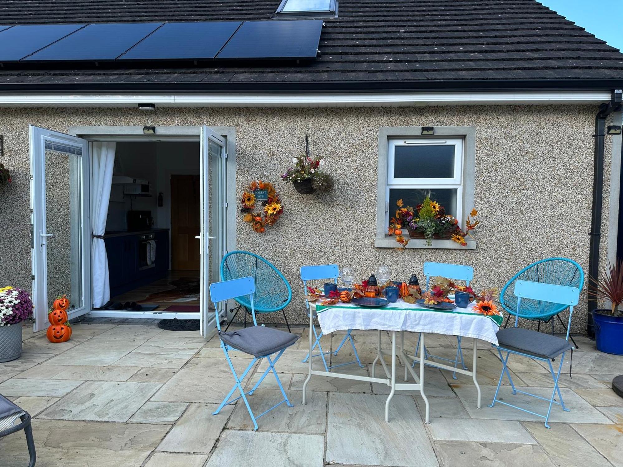 Forest Path Luxury Studio Apartment With Large Bedroom Bathroom And Sauna Sleeps Up To 4 Ballynahinch Exterior foto