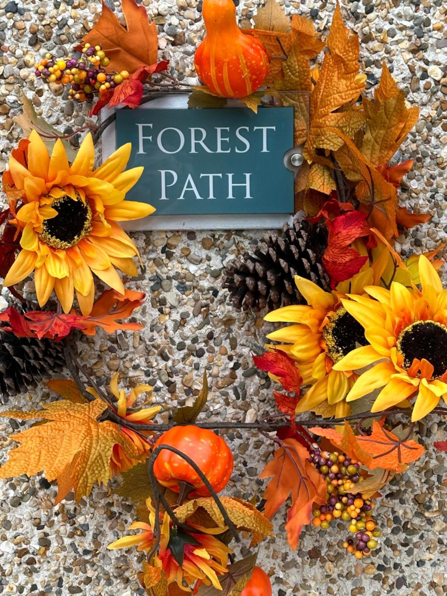 Forest Path Luxury Studio Apartment With Large Bedroom Bathroom And Sauna Sleeps Up To 4 Ballynahinch Exterior foto